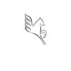 Всі товари виробника Pegasus (Пеґасус, Англія )